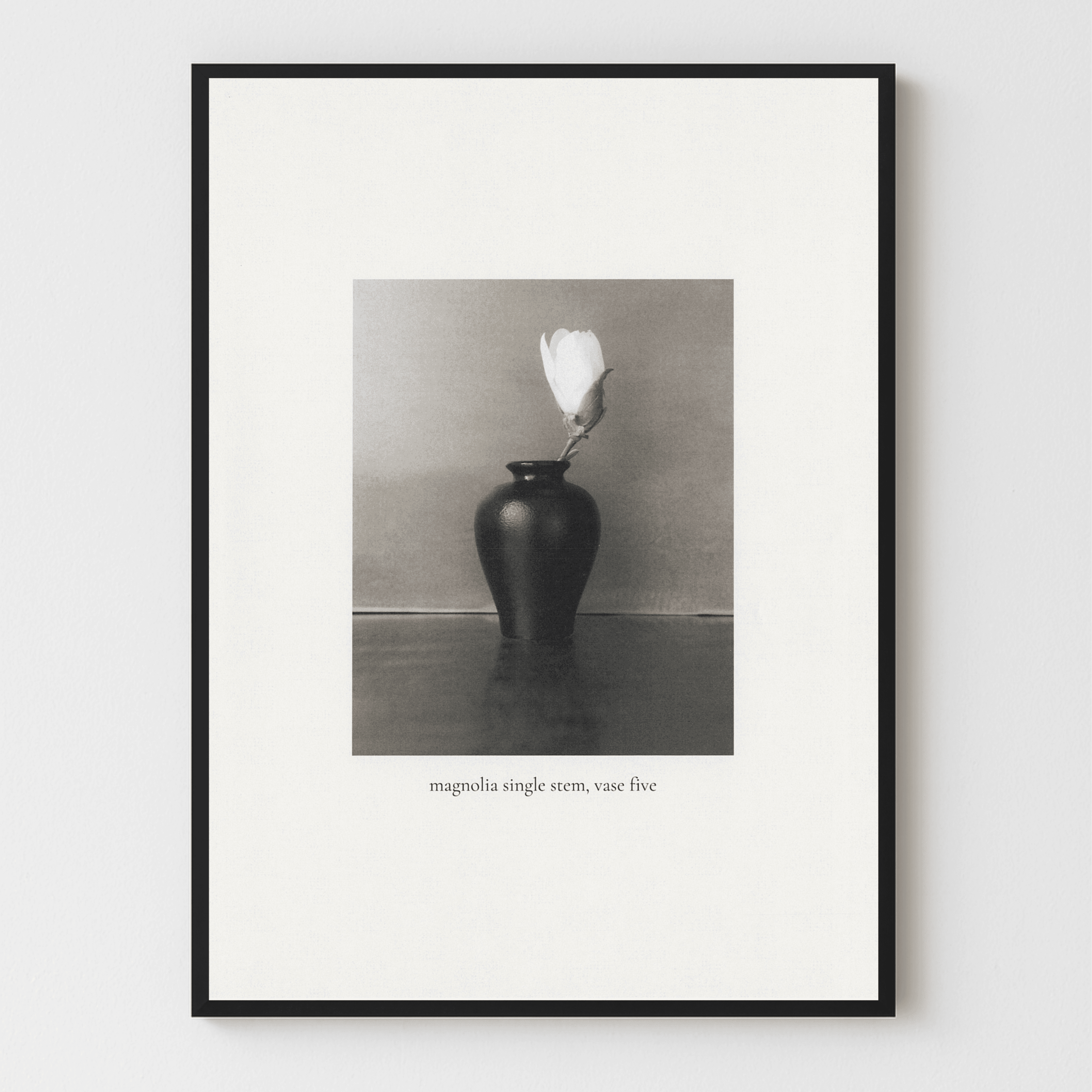 Magnolia #5