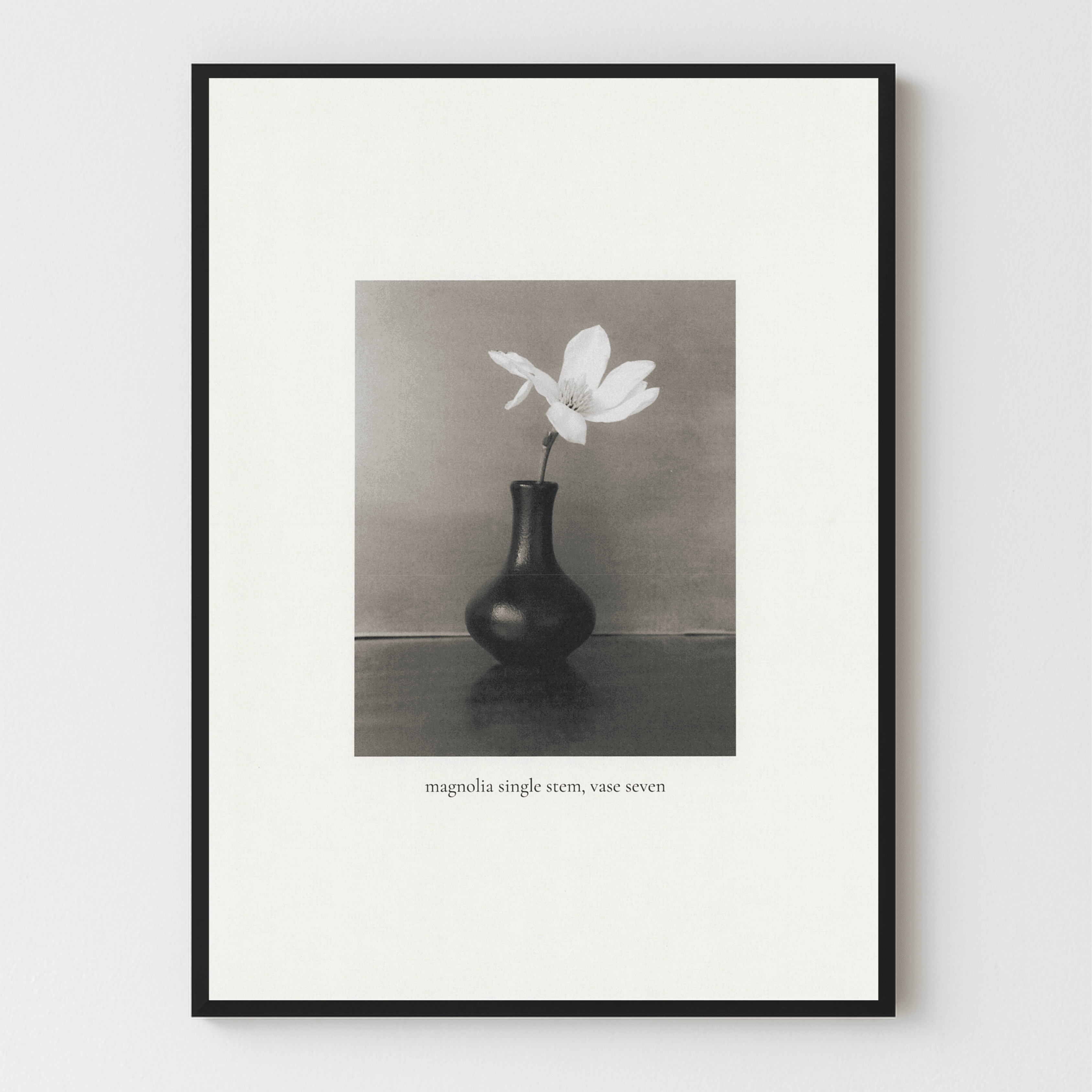 Magnolia #7